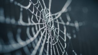 蜘蛛の巣　SPIDER’S WEB  アガサ・クリスティ　加藤恭平　訳